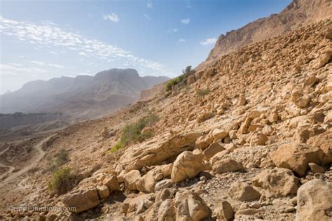 Ein Gedi Nature Reserve Visitors Guide With Tracks