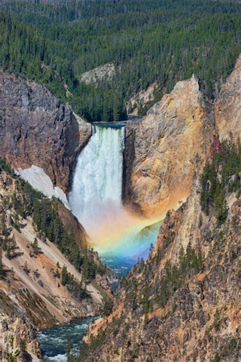 Yellowstone national park rules state that visitors must stay at least 100 yards away from bears. Photographing Yellowstone - Landscapes | Martin Belan