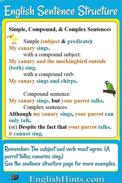English Sentence Structure English Sentence Structure Basic English