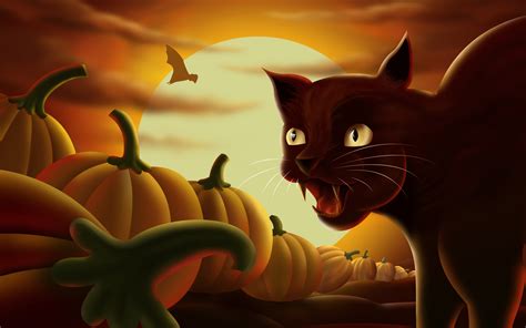 Black Cat And Halloween Pumpkins Wallpapers Hd Wallpapers 16602