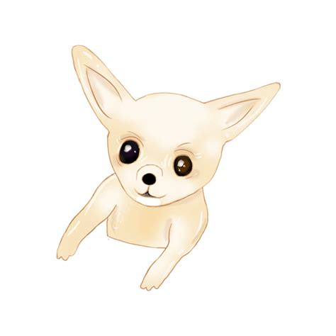 Chihuahua Png Transparent Chihuahua Dog Puppy Chihuahua Pictures