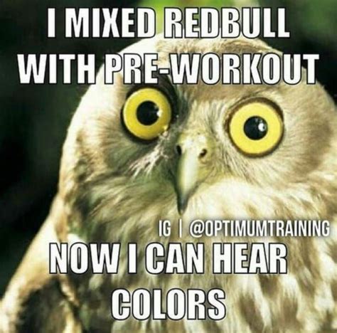Funny Workout Memes For Your Fitness Journey 25 Memes Funny Gym