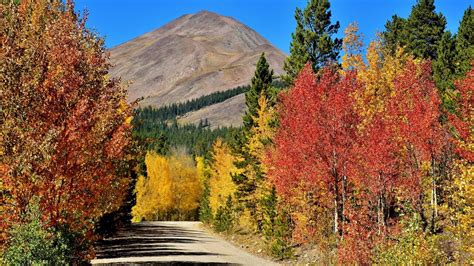 Everything You Need To Know To See Colorados Fall Colors