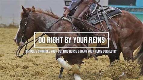 Do Right By Your Reins Bridle And Unbridle Your Cutting Horse And Hang Your