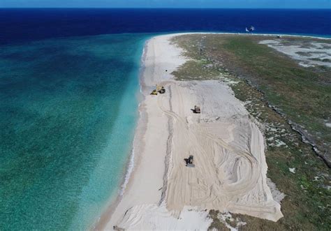 The Raine Island Recovery Project A Success Story For Green Turtles