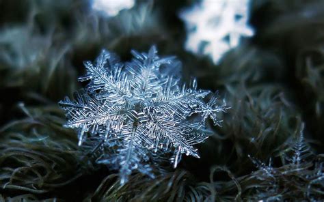 Incredible Close Ups Of Snowflakes Shot With A Homemade Camera Rig