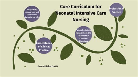 Core Curriculum For Neonatal Intensive Care Nursing By Elizabeth Chavez