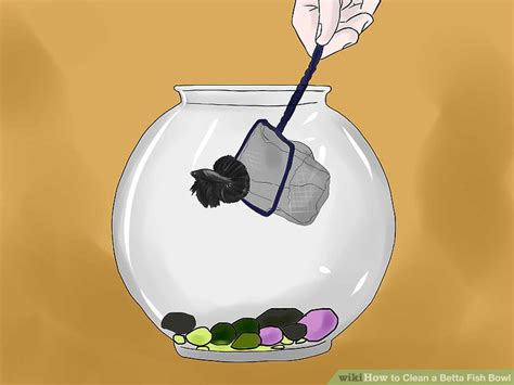 How often do you clean your fishtank? How to Clean a Betta Fish Bowl (with Pictures) - wikiHow