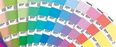 Pantone Matching System And Color Chart Merchology Kulturaupice
