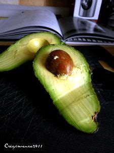 Première expérience au siphon mousse d avocat