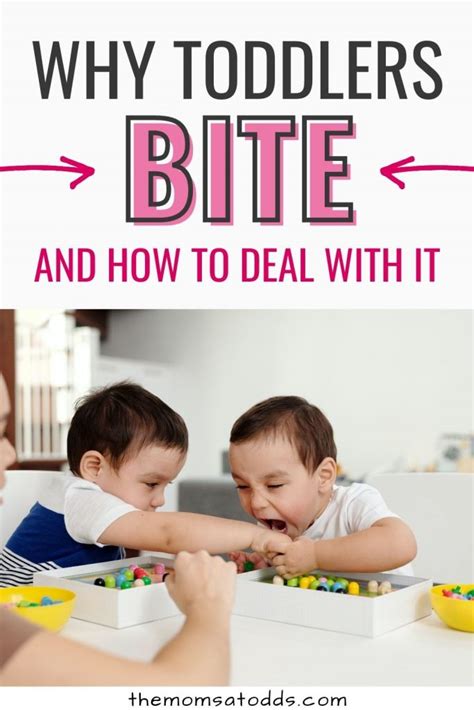Why Do Toddlers Bite And How To Stop It 5 Great Strategies