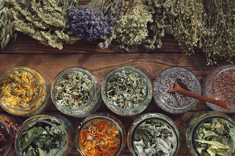 7 Best Herbs For Womens Health Modern Aging