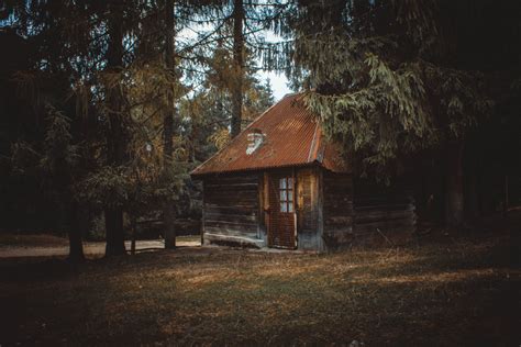 Fotos gratis casa árbol cabaña de madera cielo edificio granero atmósfera bosque área