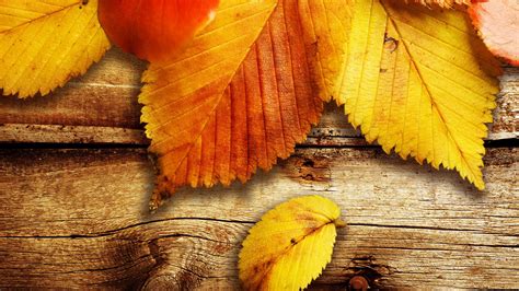 Ultra Hd Autumn Wallpapers Top Free Ultra Hd Autumn Backgrounds