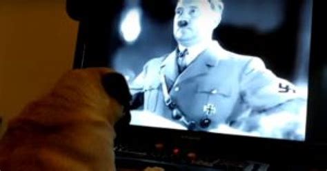 Ciao frankie, so che da oggi alzando gli occhi al cielo ed ascoltando bene si sentiranno tante risate provenire da lassù… has has fidanken. Deliri hitleriani: dopo "Has Fidanken", "Sieg Heil!". Uno ...