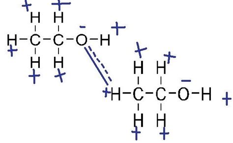 Ethanol Intermolecular Forces In Ethanol