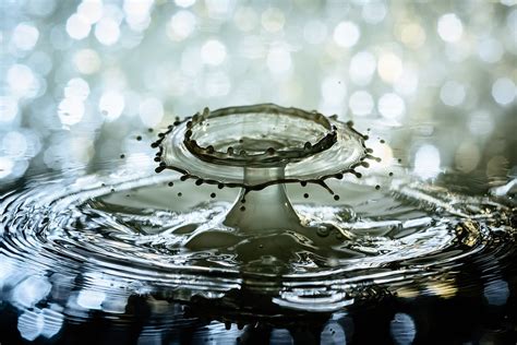Water Drop Splash Free Photo On Pixabay Pixabay