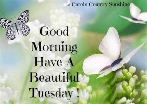 Good Morning Happy Tuesday Pictures Photos And Images For Facebook Tumblr Pinterest And Twitter