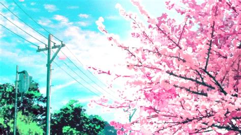 Cherry Blossoms In Anime Wallpapers Wallpaper Cave