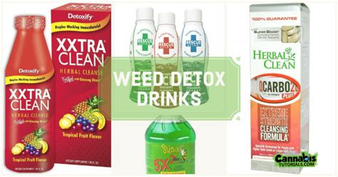 5 Detox Drinks For Weed That Work Cannabis Tutorials