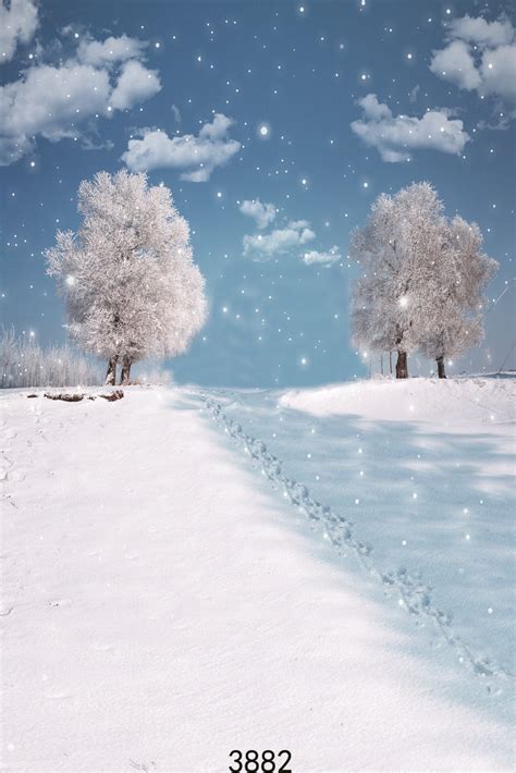 Photography Backdrops Winter Snowy Vinyl Photo Background For Studio