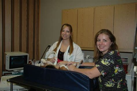 Countryside Animal Clinic In Deland Utilizes A Portable Ultrasound