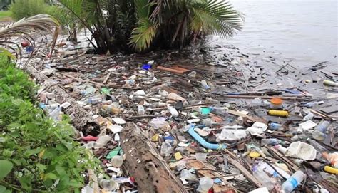 According to an article from the star 2016, every second, someone is dumping rubbish into malaysian waterways and an average of 2,200. Sign petition: Petition to Ban The Use of Single Use ...