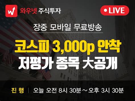 코스피 3 000p 안착 저평가 종목 大공개 한국경제
