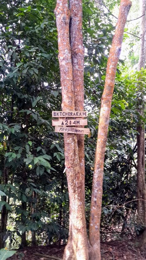 Laluan permulaan agak memenatkan kerana kita perlu mendaki dan ada sesetengah laluan. Hiking & Gardening: Bukit Botak , Puncak Alam