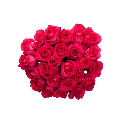 Hot Pink Rose Bouquet Roses Types Of Flowers Flower Muse