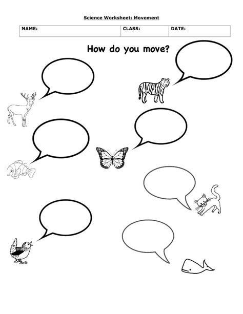 Animal Worksheet New 836 Animal Movements Worksheets For Grade 1