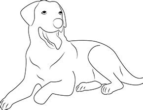 Wenn sie keine idee haben, welches motiv sie als schablone zum. Ausmalbild Hund zum kostenlosen Ausdrucken und Ausmalen. # ...