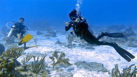 Exploring Mexicos Underwater World Snorkeling And Scuba Diving