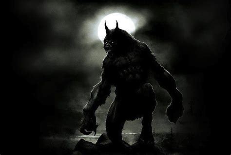 Werewolf Backgrounds Wallpaper Cave