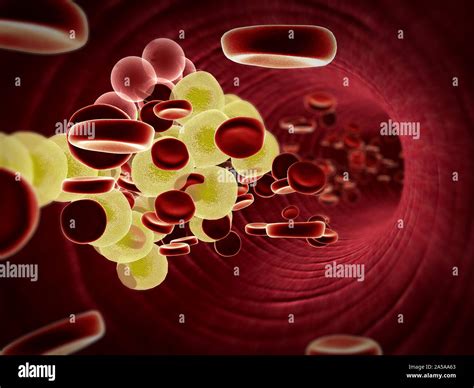 Inside The Blood Vessel High Quality 3d Render Of Blood Cells