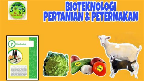 Bioteknologi Part Bioteknologi Pertanian Dan Peternakan Kelas YouTube