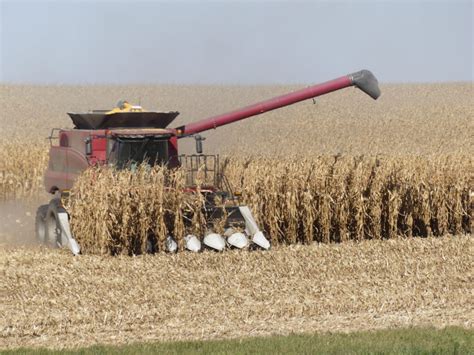 Good Yields Reported As Harvest Nears Completion Thesanbornpioneer