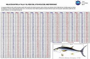 Bluefin Tuna Weight Chart