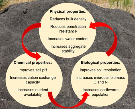 Chemical properties of matter require a chemical change in order to observe and measure them. Using High-Carbon Char as a Soil Amendment to Improve Soil ...