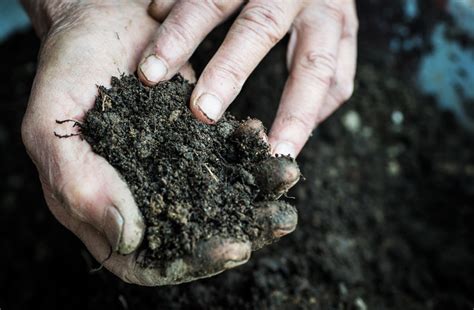 Farmers With A Passion For Soil Health Wanted For Project Farminguk News