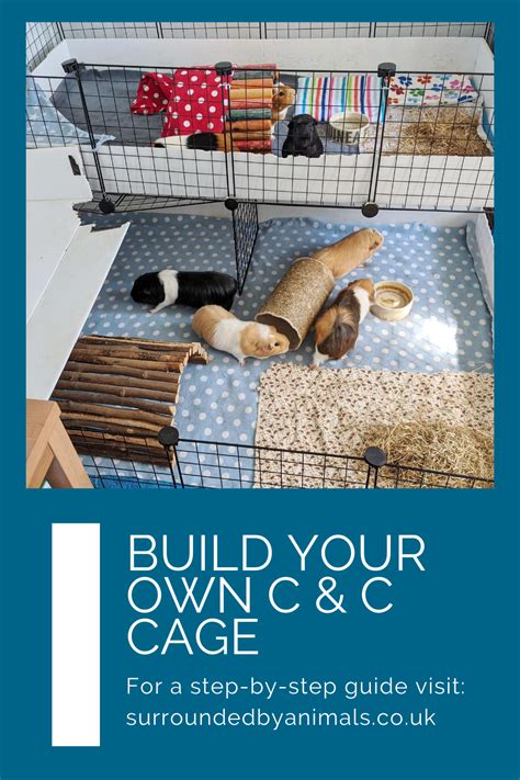 Woodworking Business Ideas How To Make Your Own Guinea Pig Cage