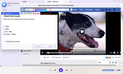 Jika vpn sudah berbahaya, lalu bagaimana cara untuk membuka situs yang sudah diblokir? Cara Menyimpan Daring Facebook Video - Pengunduh Video ...
