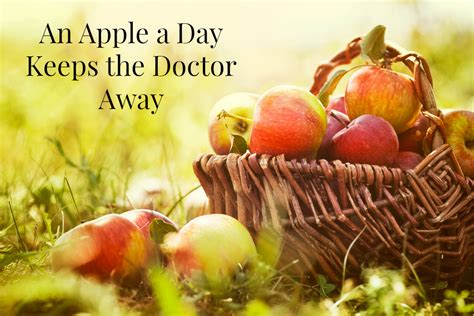 Apples Quote  Snack Rules
