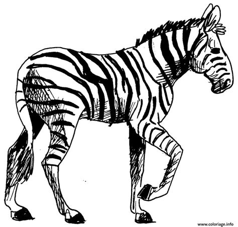 Coloriage Zebre 22 Dessin Zebre à Imprimer