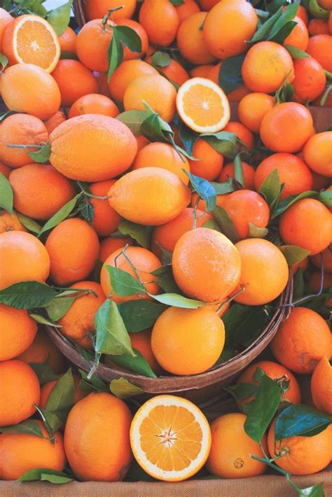 Bright Oranges Hollywood Farmers Market Rainbow Aesthetic Orange
