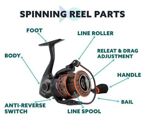 Spinning Reel Parts Diagram Heat Exchanger Spare Parts