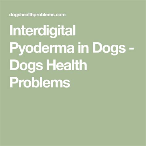 Interdigital Pyoderma In Dogs Dogs Health Problems Dog Treatment