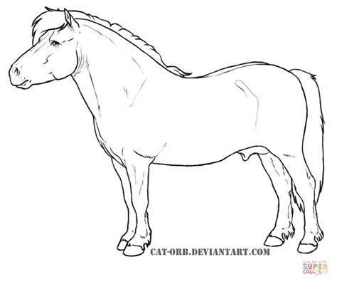 how to draw a shetland pony step by step - howtoposeforpicturesatrestaurant