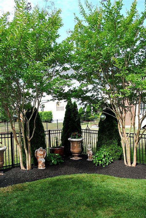 A landscape berm planted with shrubs and small trees offers several important advantages in a. 30 BIG TIPS AND IDEAS TO CREATE BACKYARD PRIVACY LANDSCAPING