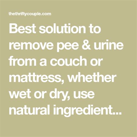 Blot the mattress with a dry absorbent towel to soak up as much of the urine as. How to Remove Pee and Urine from Couch (Works for ...